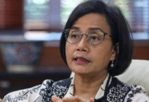 Menteri Keuangan Dorong Transisi Energi Bersih di Indonesia