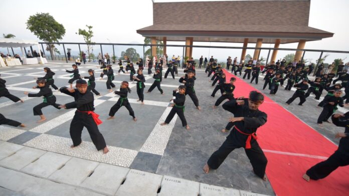 pencak silat
