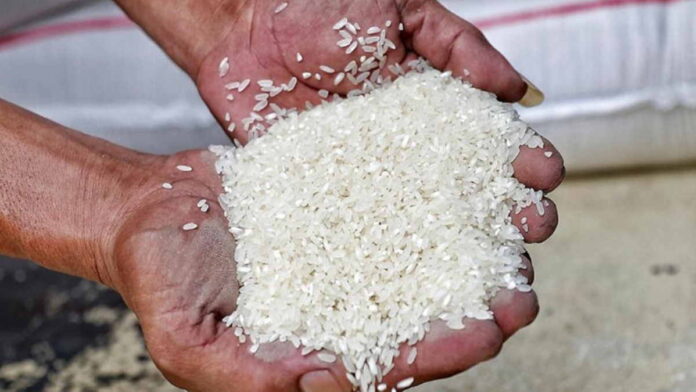 SPI Desak Pemerintah Turunkan Harga Beras