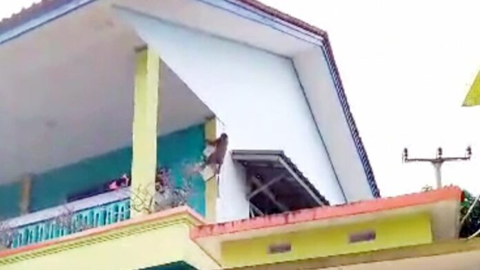 Seekor Monyet Masuk ke Sekolah di Ciamis