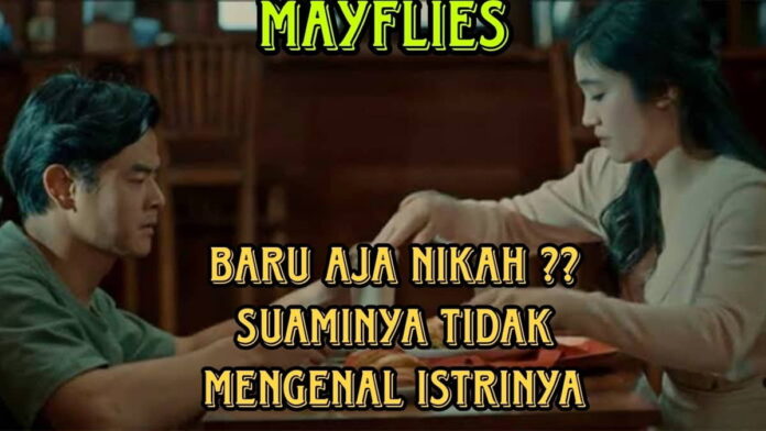 Sinopsis May Flies