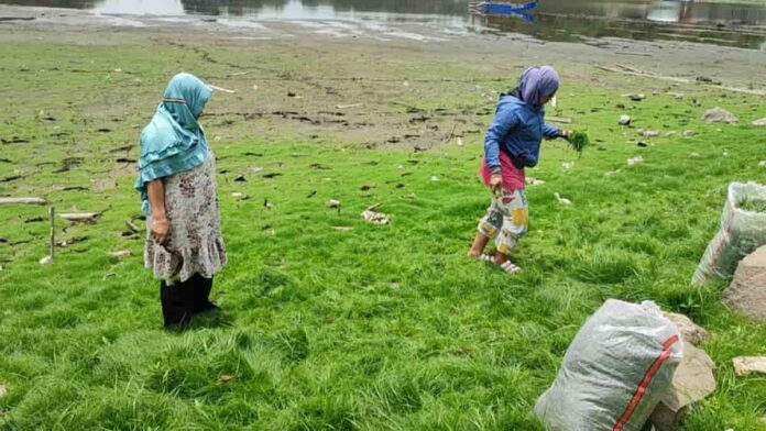 Situ Gede Tasikmalaya Surut