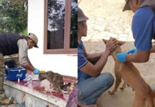 Vaksin Anti Rabies Gratis