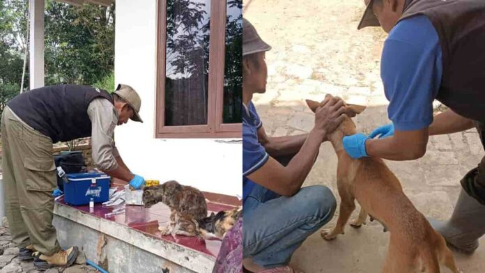 Vaksin Anti Rabies Gratis