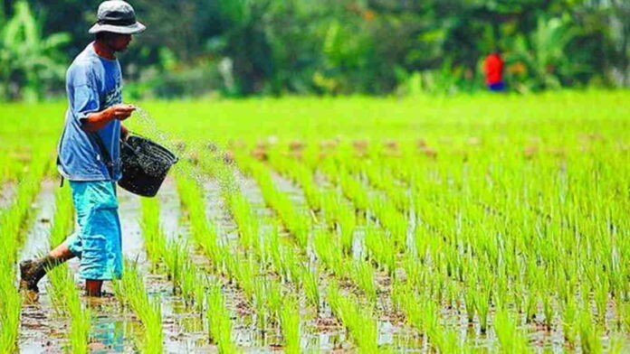 Tingkatkan Pendapatan Petani, Kementan Dorong Hilirisasi Pertanian Skala Rumah Tangga