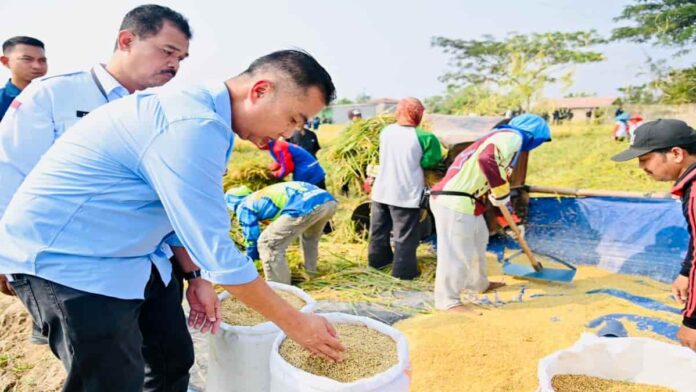 cadangan beras Jawa Barat