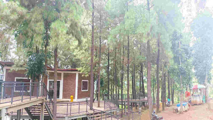 Forest Walk Sumedang