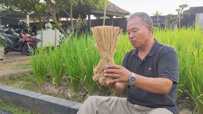 Gagasan Selamatkan Bumi