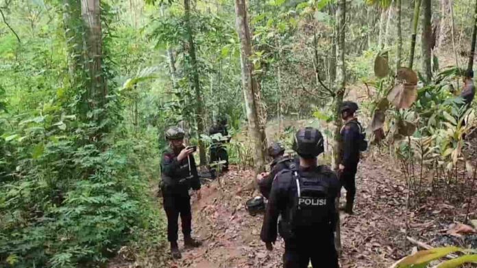 Granat Nanas Buatan Amerika