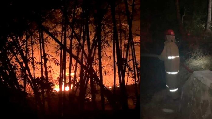 Hutan Bambu Seluas 2 Hektare di Panjalu Ciamis Terbakar