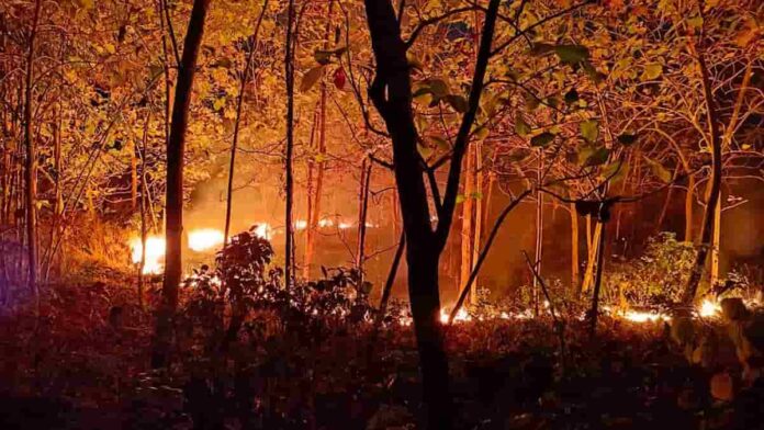 lahan kebun di Kawasen