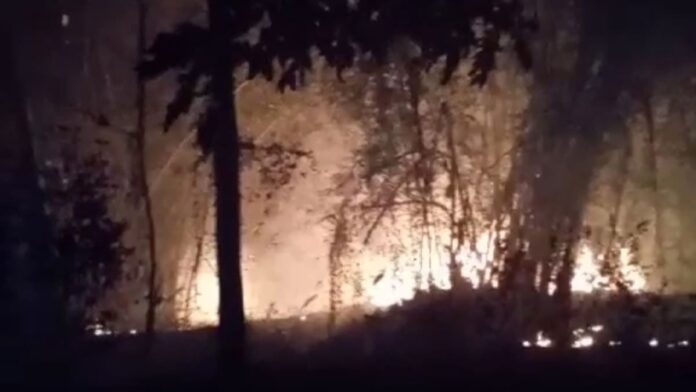 Kebakaran Lahan Kering di Tasikmalaya