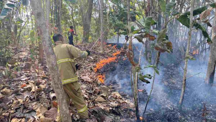 Kebakaran Lahan Ancam Pemukiman Warga di Ciamis