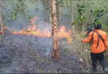 Kebakaran Lahan Milik Perhutani di Kota Banjar