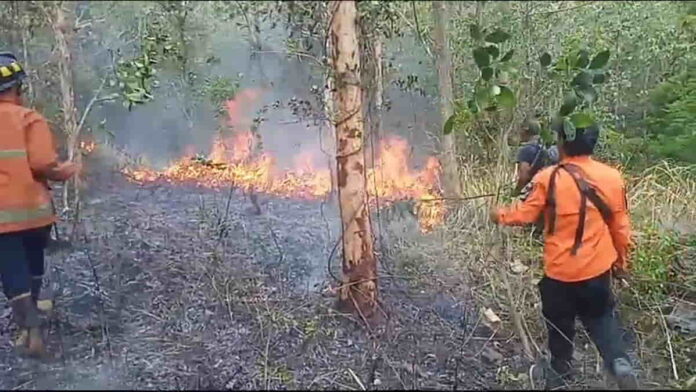 Kebakaran Lahan Milik Perhutani di Kota Banjar