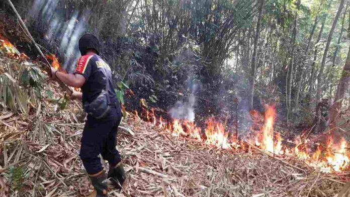 Kebakaran Lahan di Kota Banjar