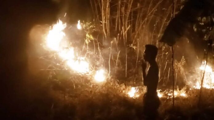 Kebun Bambu di Kota Banjar