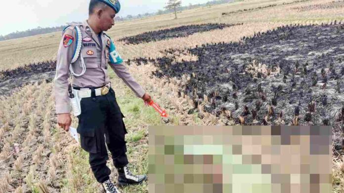 Penemuan Jasad Kakek Tua di Pematang Sawah Gegerkan Warga Lakbok Ciamis