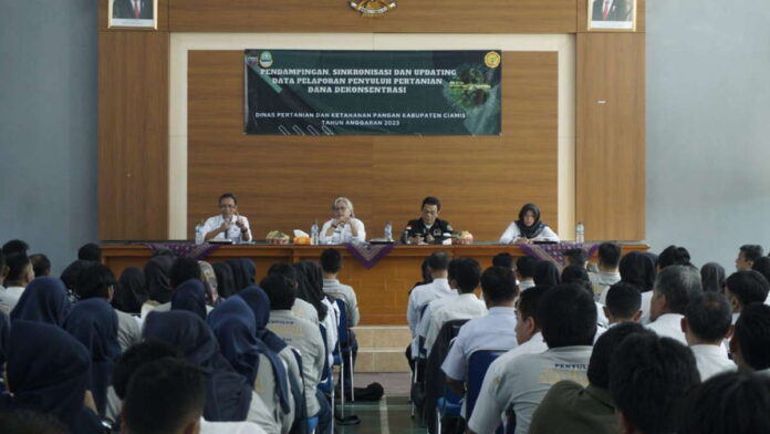 Penyuluh Pertanian di Ciamis, Banjar dan Pangandaran Ikuti Pendampingan Updating Data Pelaporan Dana Dekonsentrasi