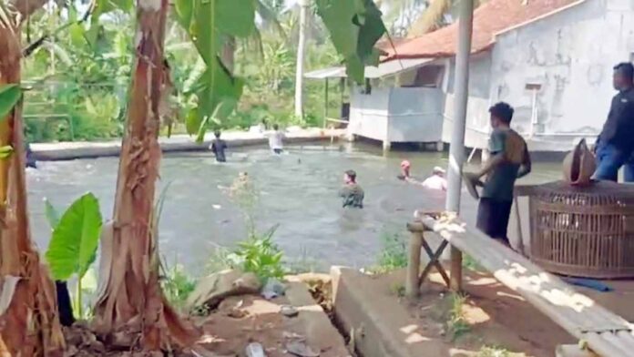 Polisi Gerebek Tempat Judi Sabung Ayam di Tasikmalaya