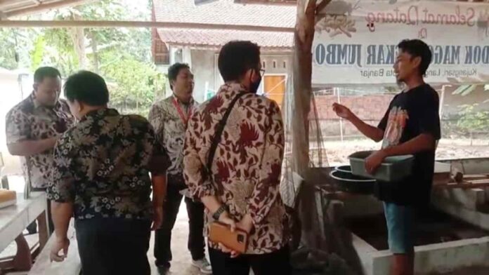 Pondok Maggot Mekar Jumbo