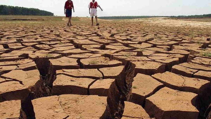 Tiga Langkah Strategis Indonesia Hadapi Dampak Fenomena El Nino