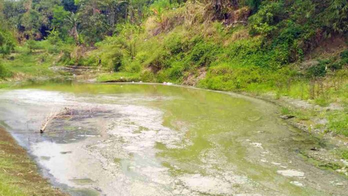 Warga Banjarsari Ciamis Keluhkan Pencemaran Sungai Ciputra Haji
