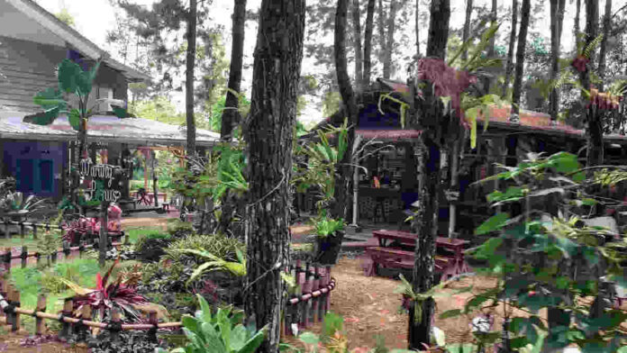Warung Pinus Subang