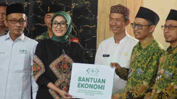 Bantuan ekonomi