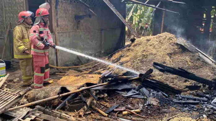 gudang penggilingan padi