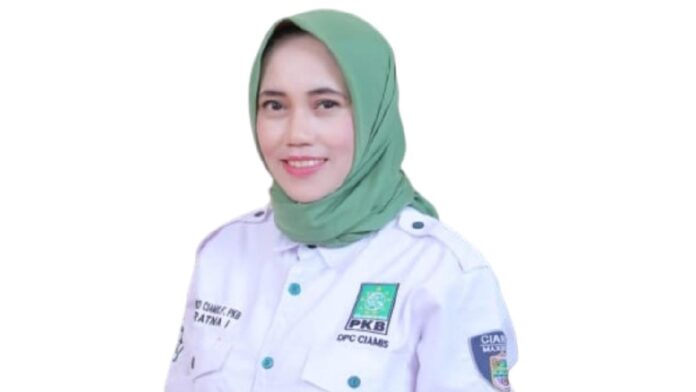 Partai koalisi amin