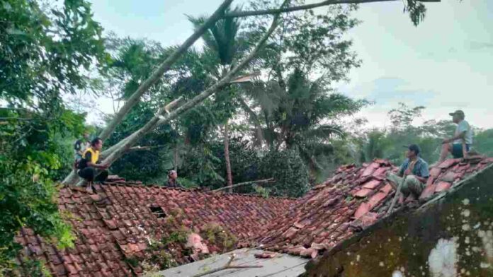 Rumah rusak parah pohon