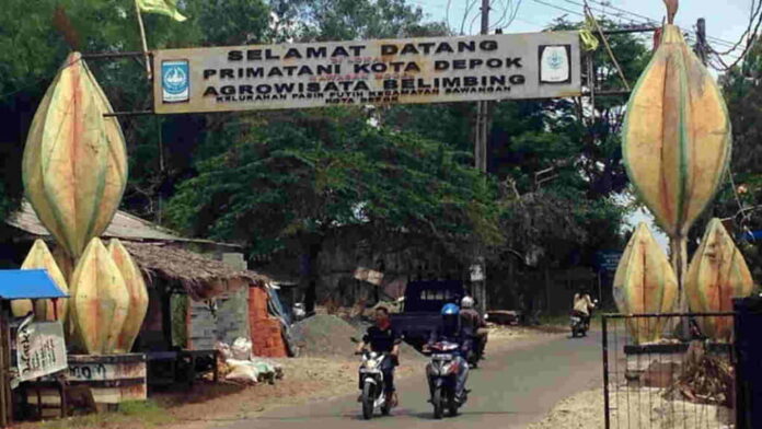 Agrowisata Belimbing Dewa