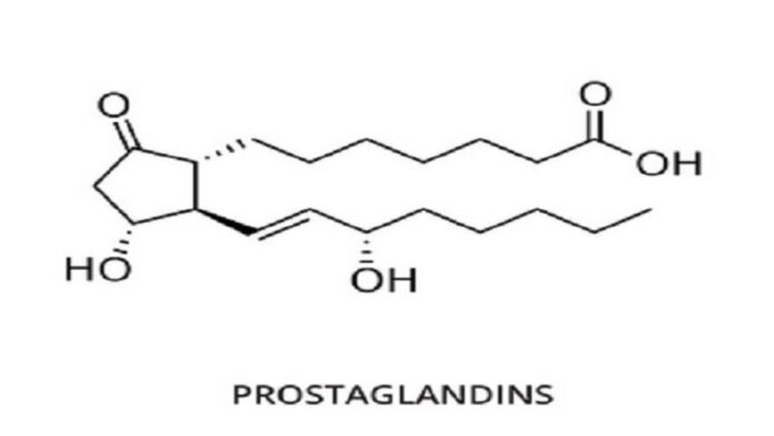 Fungsi Hormon Prostaglandin