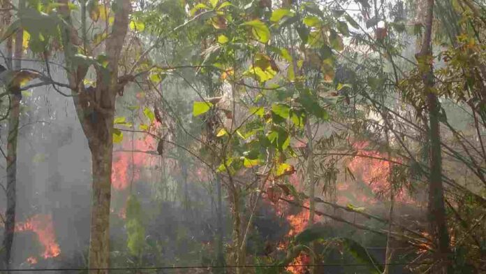 Hektar lahan terbakar