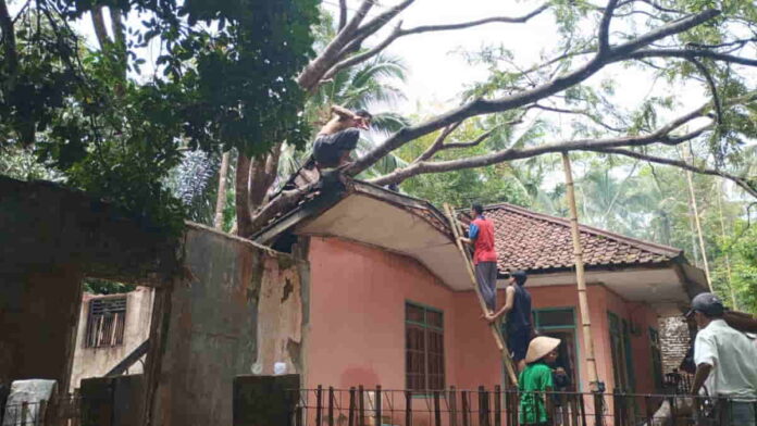Hujan Pertama usai Kemarau
