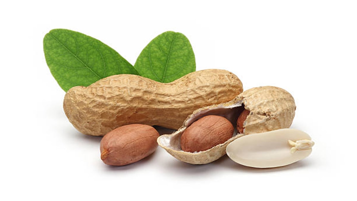 Kacang Tanah - Makanan Tinggi Protein