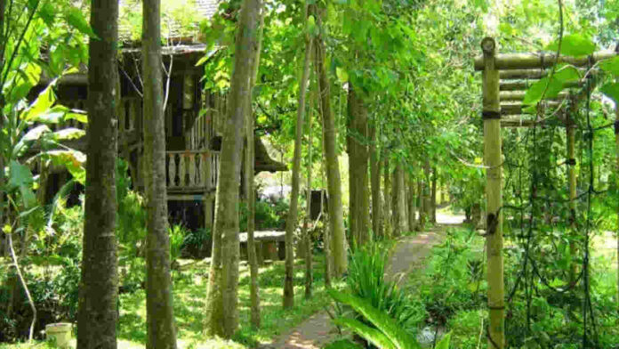 Kampung 99 Pepohonan