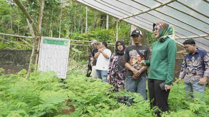 Kelompok tani cisaga