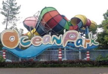 Ocean Park BSD