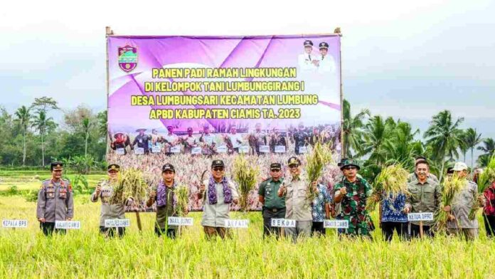Petani Lumbung Panen padi