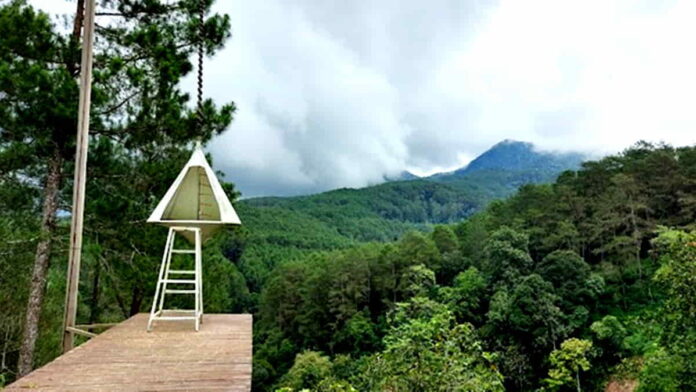 Pineus Forest View Tasikmalaya