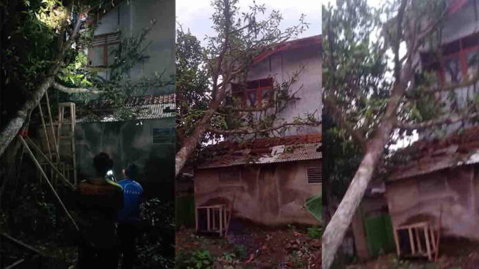 Pohon Tumbang Timpa Sekolah