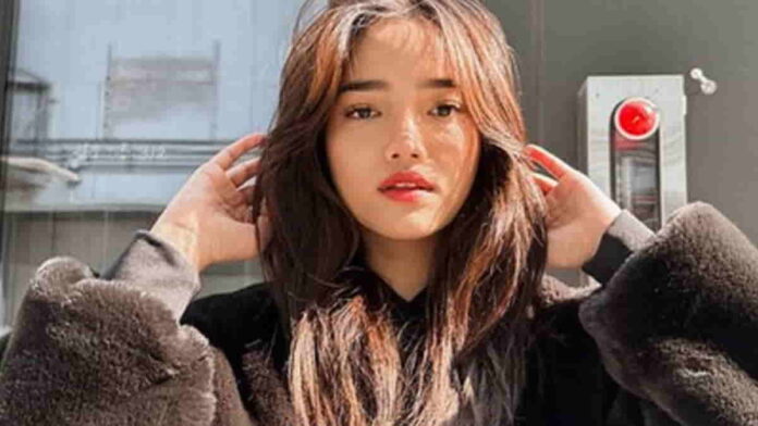 Profil Fuji Utami