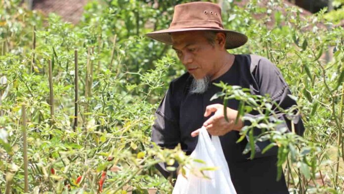 usaha tani perorangan di Jawa Barat dalam 10 tahun terakhir terus menurun