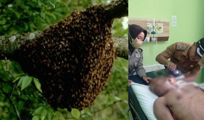 Warga Kawali Ciamis Diserang Odeng