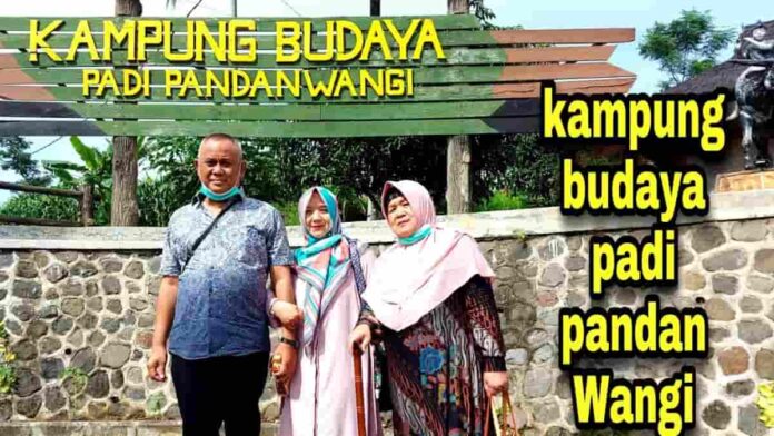 Wisata Kampung Budaya Padi Pandanwangi