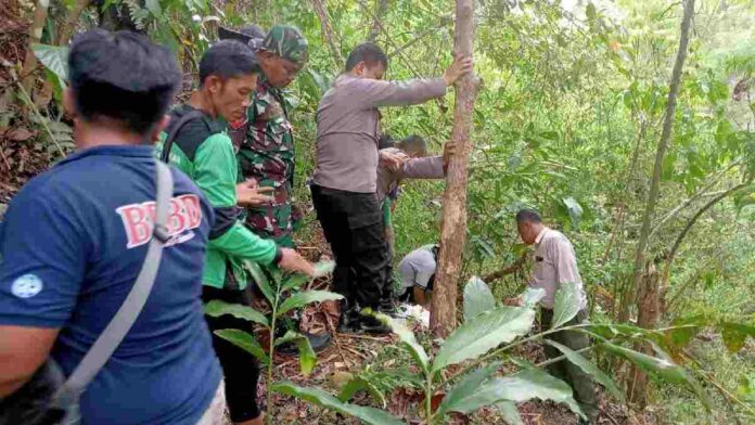 Penemuan tengkorak manusia
