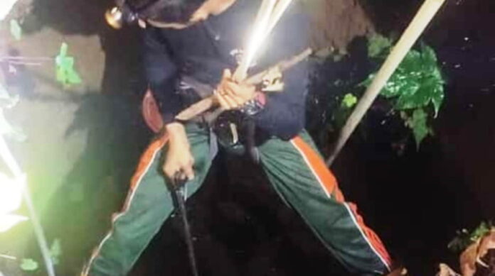 Sumur Jadi Sarang Ular
