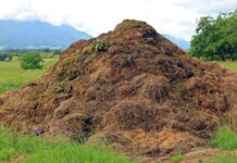 Erick Thohir Sebut, Limbah Pertanian dan Perkebunan Jadi Sumber Energi Bersih Masa Depan